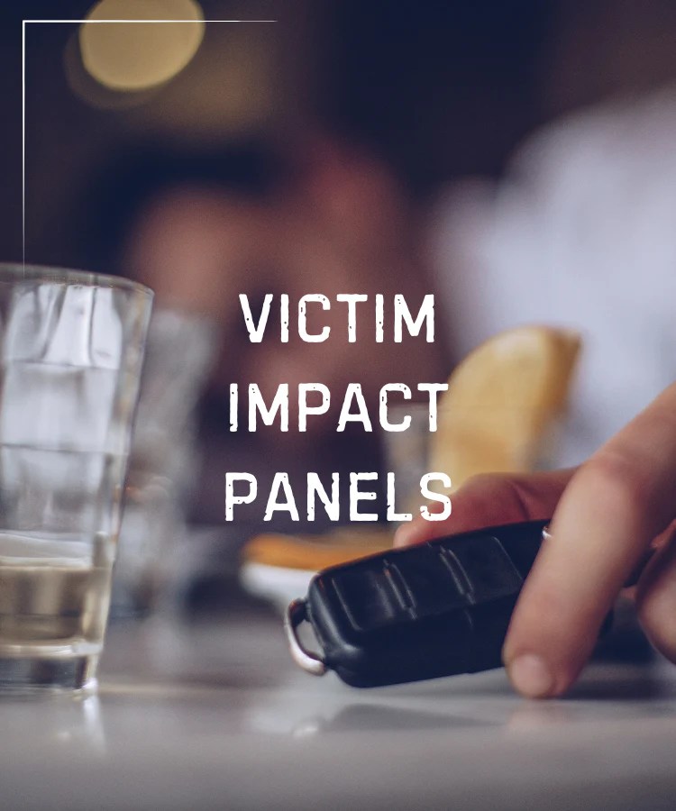 VICTIM IMPACT PANEL VIP Texas Online Course DWI Education Programs(06)