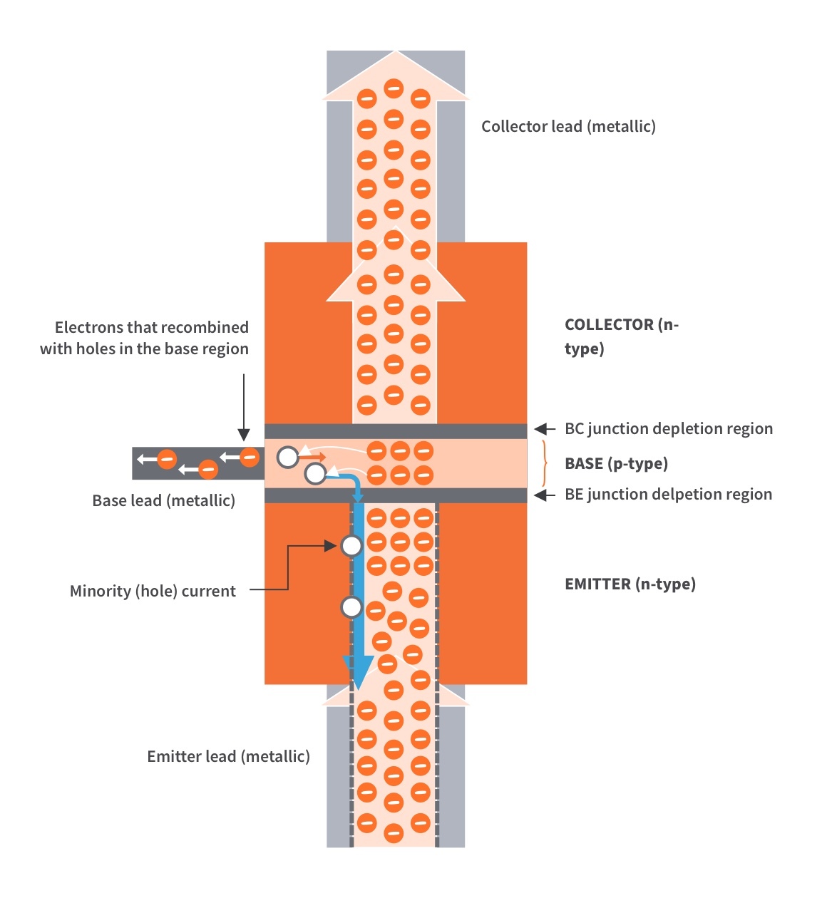 Bipolar Junction Transistor (BJT) Basics CircuitBread