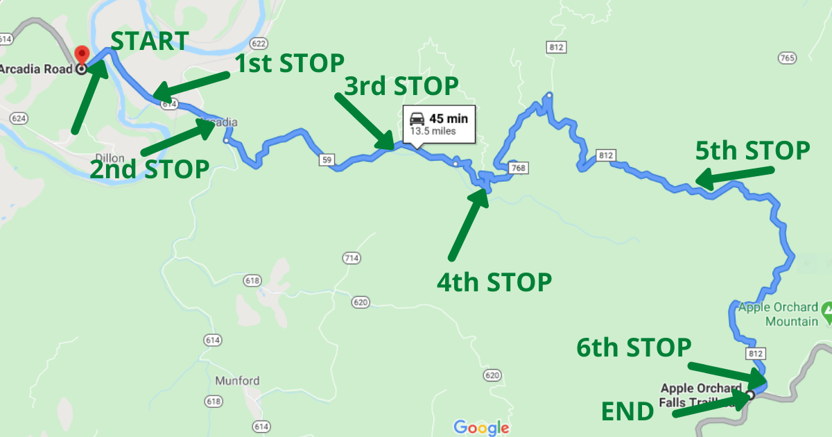 Birding Warbler Road in the Blue Ridge Mountains Virginia DWR