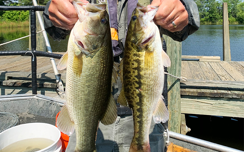 New Regulations, An Essential Partnership, and Call to Action Aim to