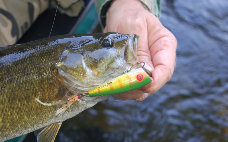 Fishing Virginia DWR