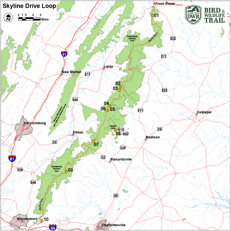 Skyline Drive Virginia DWR