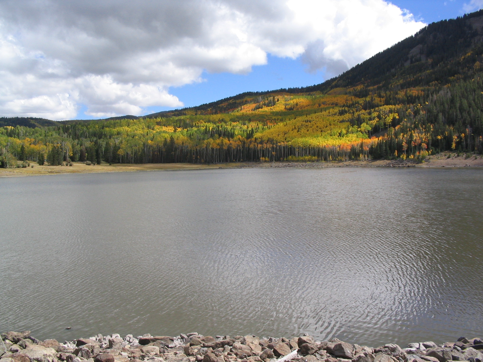 Fish Utah Division of Wildlife Resources