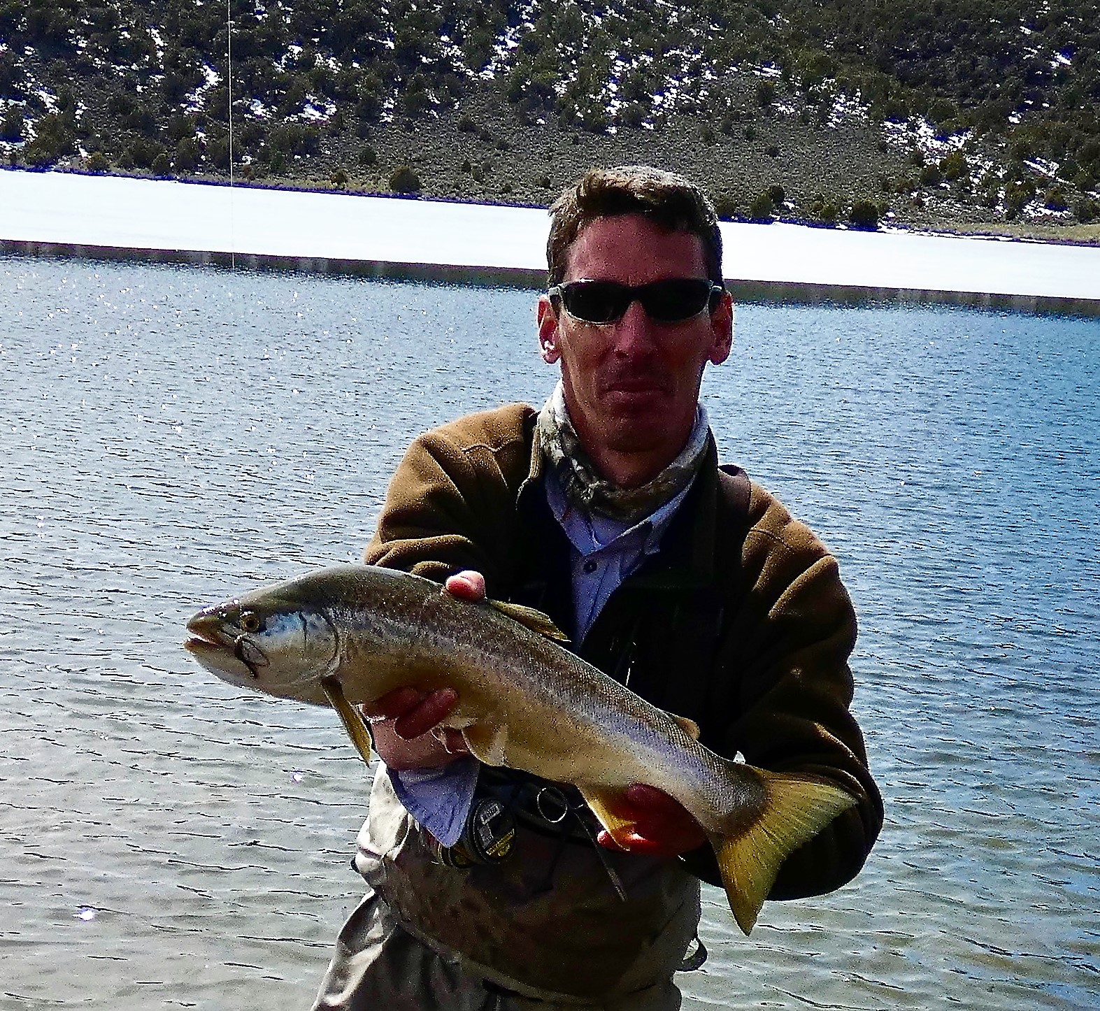 Fish Utah Division of Wildlife Resources