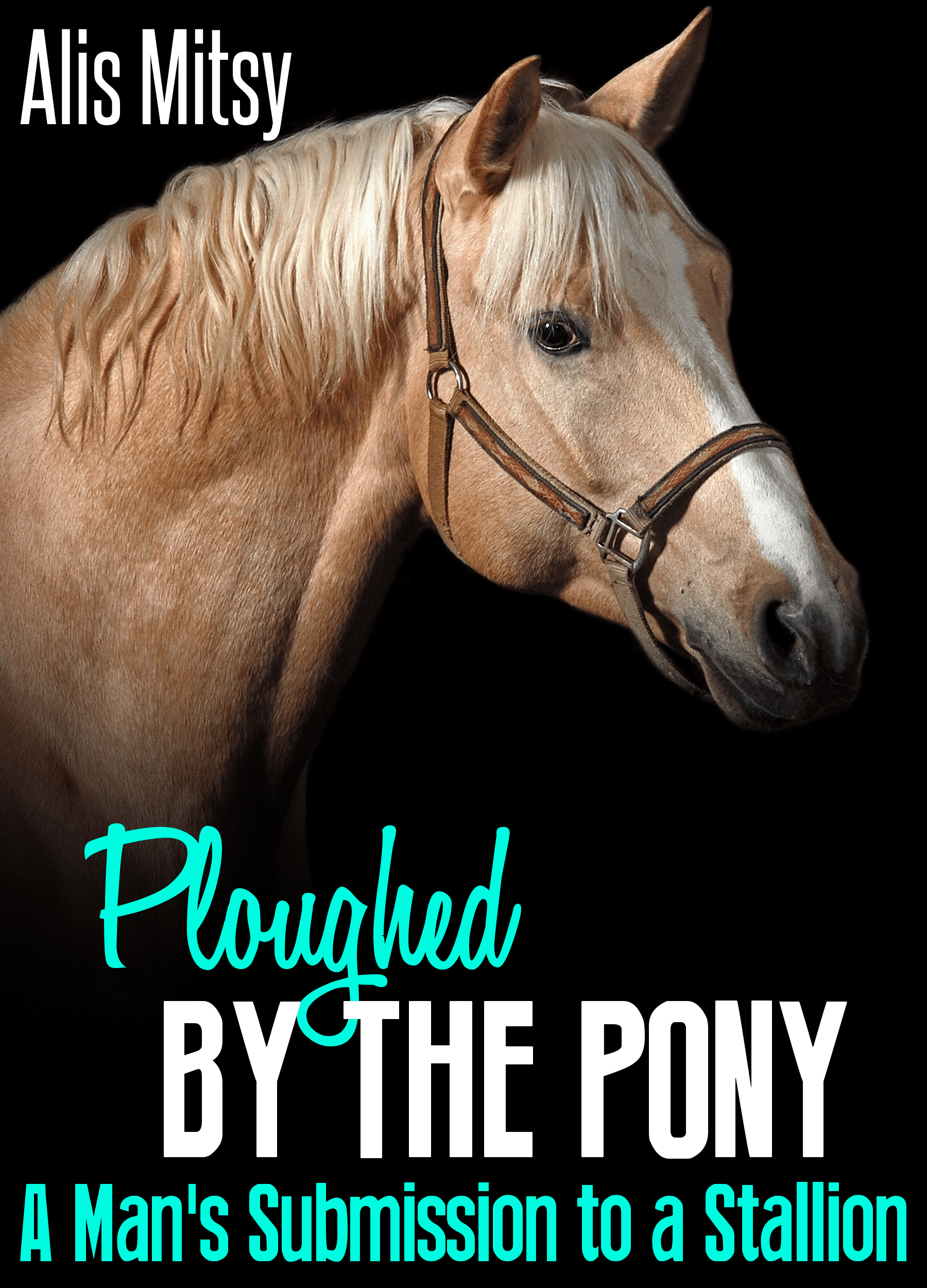 Wie Sieht Man Mit Pony Aus Wie Man