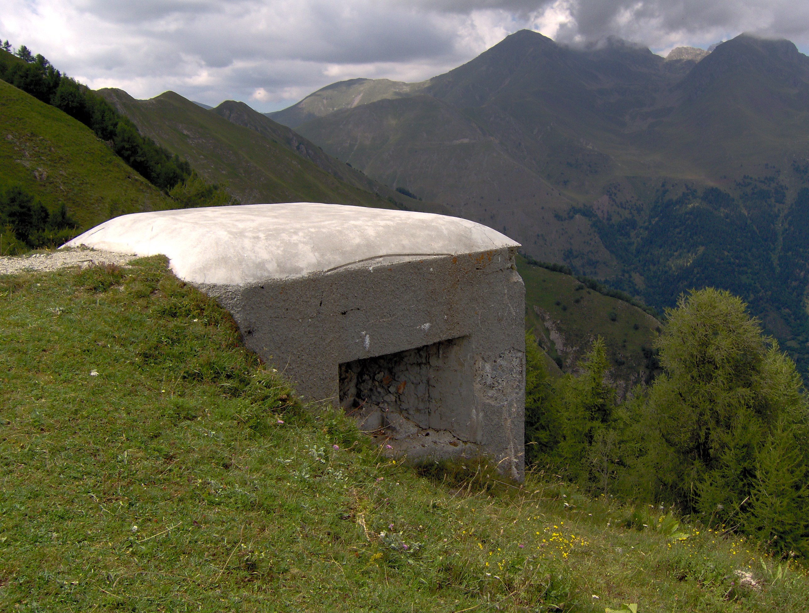 “Love me like I love the Jets!” Pleads Slater The DynaBowl