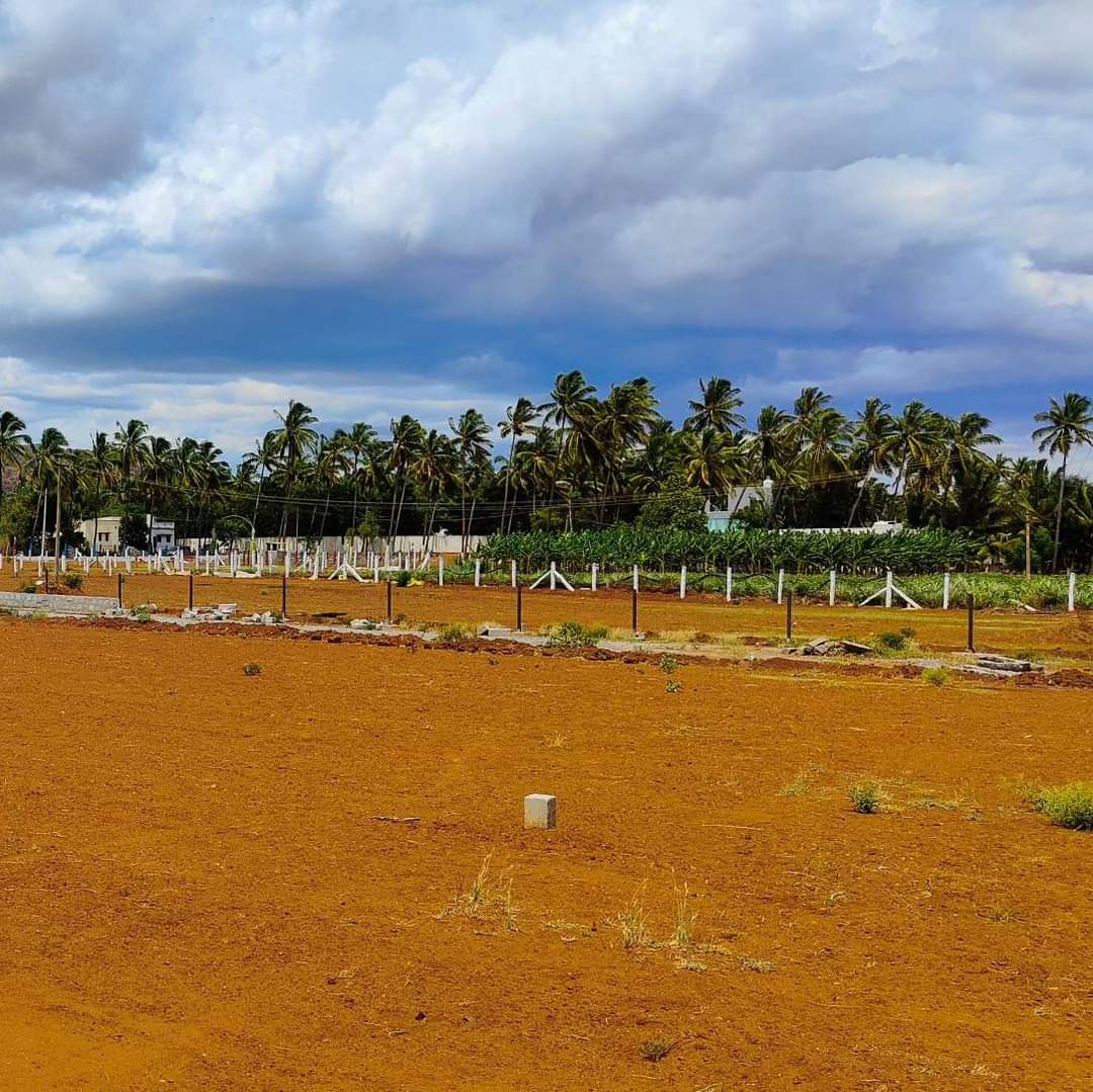 Dream Valley Farm land in Pannimadai, Coimbatore by Coimbatore Dtcp Farm farm lands seller