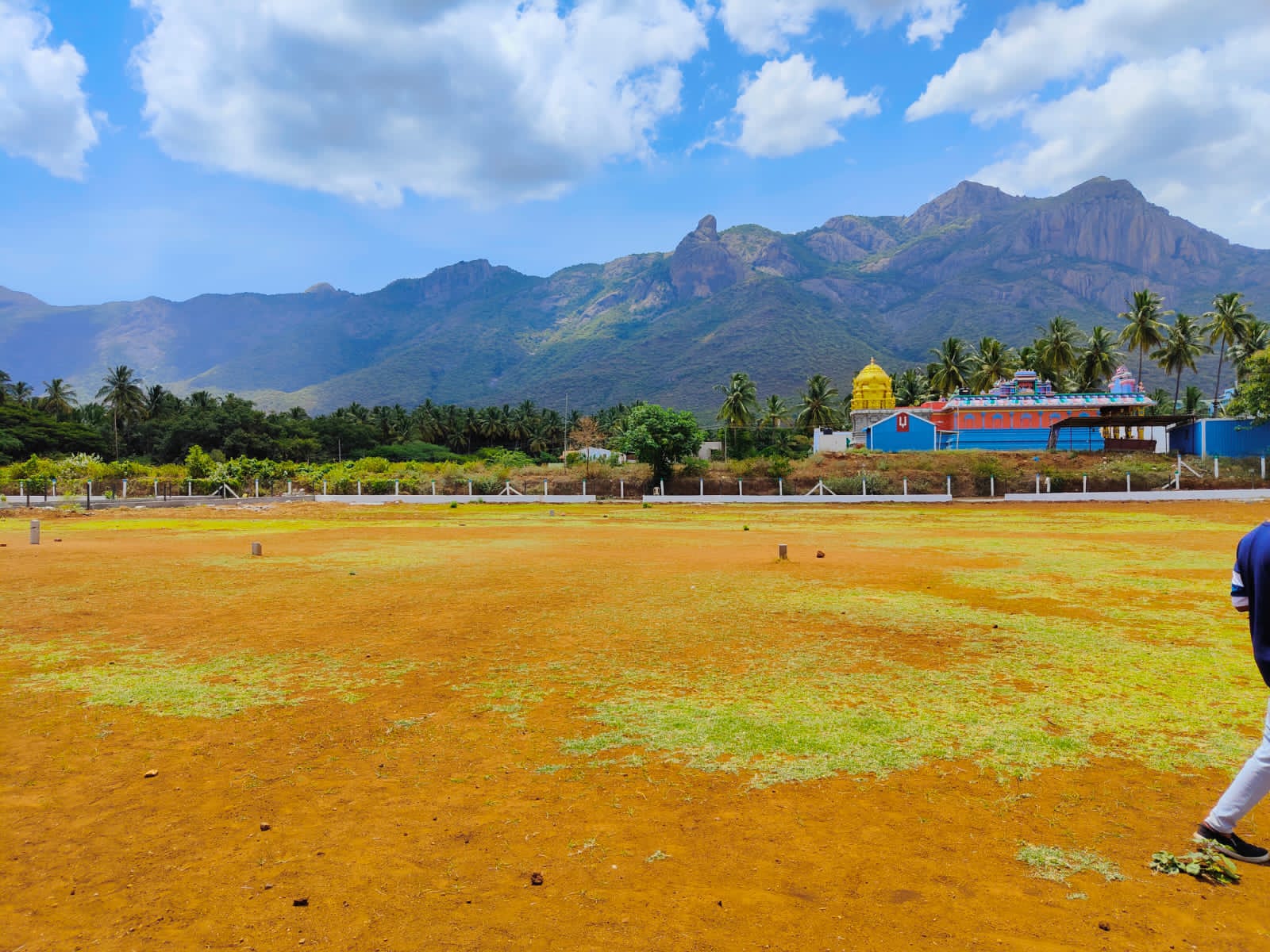 Dream Valley Farm land in Pannimadai, Coimbatore by Coimbatore Dtcp Farm farm lands seller