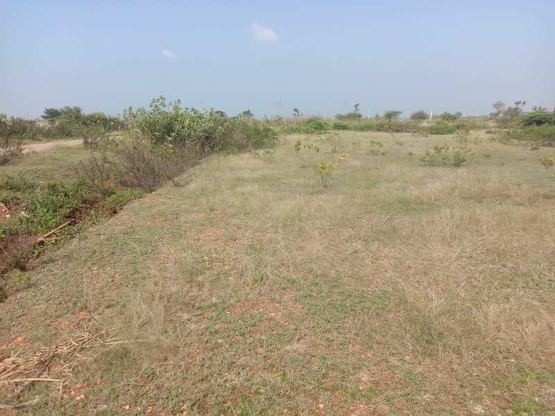 Agricultural Land 2 Acre for Sale in Denkanikottai Road, Hosur (REI1005991)