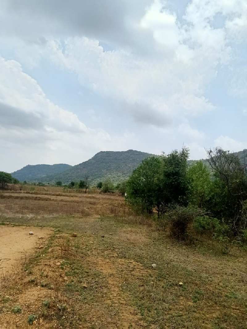 Agricultural Land 20 Ares for Sale in Denkanikottai Road, Hosur (REI1038480)