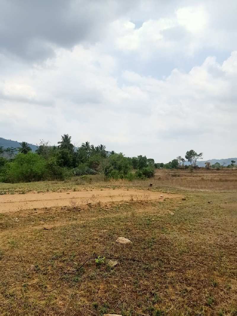 Agricultural Land 20 Ares for Sale in Denkanikottai Road, Hosur