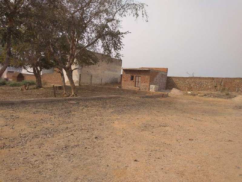 Agricultural Land for Sale in Faizabad Road, Lucknow (REI744853)