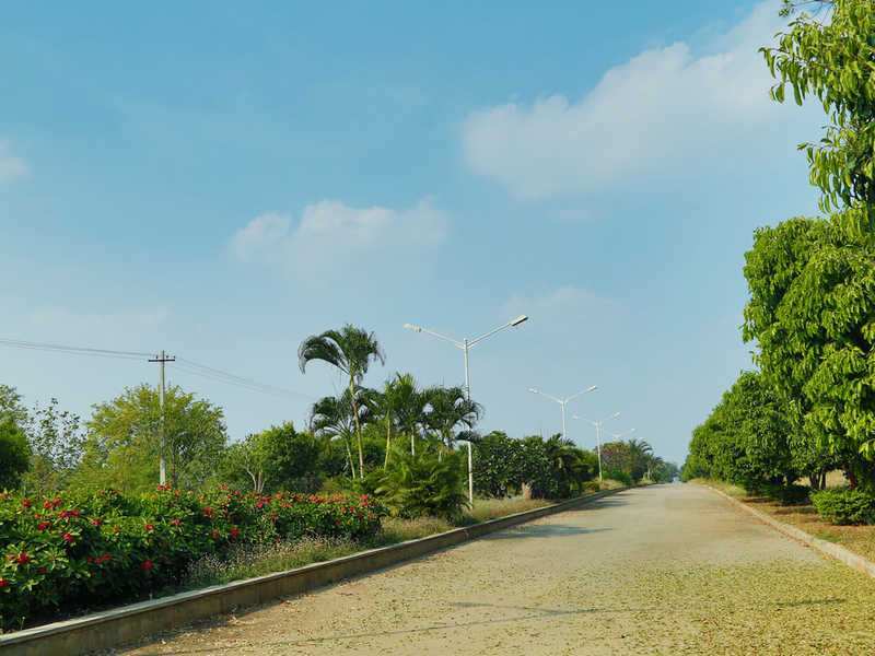 Agricultural Land 1000 Sq. Yards for Sale in Chilkur, Hyderabad (REI911355)