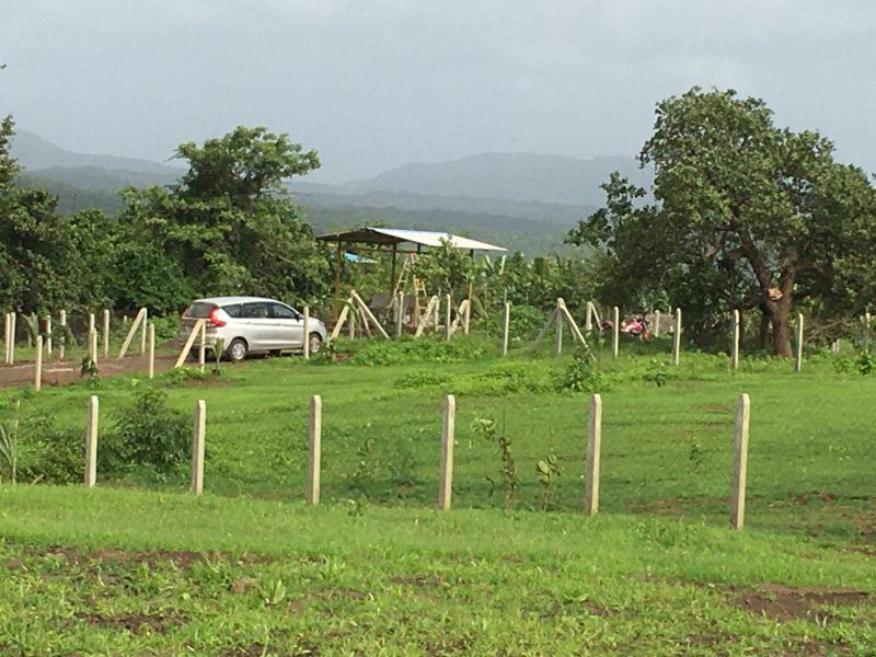 Agricultural Land 21780 Sq.ft. for Sale in Tala, Raigad (REI1215527)