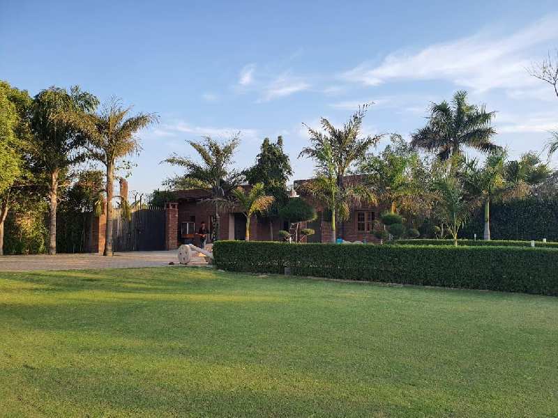 Agricultural Land 2820 Sq. Yards for Sale in DLF Chattarpur Farms