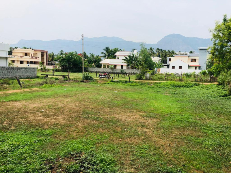 Commercial Land 14 Cent for Sale in Kollengode, Palakkad (REI1156018)