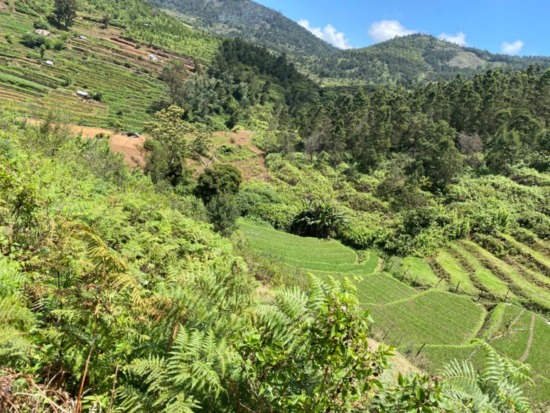 Agricultural Land 3 Acre for Sale in Kodaikanal, Dindigul (REI1205855)