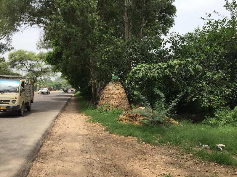 Residential Plot 6 Acre for Sale in Saha, Ambala (REI797608)