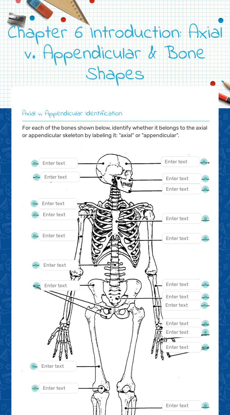 Bone Labeling Worksheet / Bone Anatomy Skeleton Labeling Worksheets By