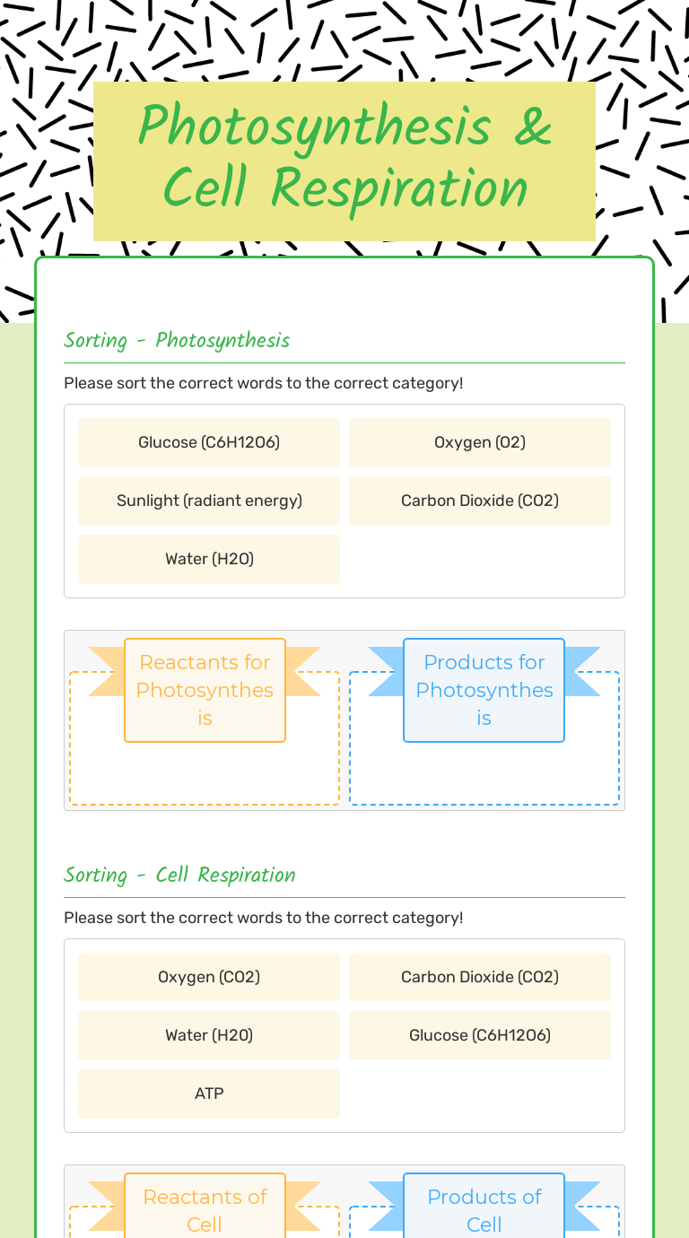 Photosynthesis And Cellular Respiration Worksheet – E-streetlight.com