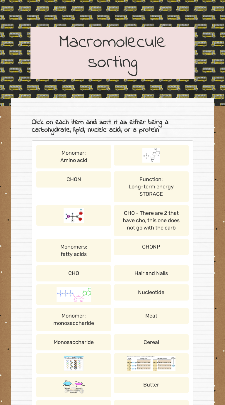 Macromolecule sorting | Interactive Worksheet by Emily Ferraro | Wizer.me