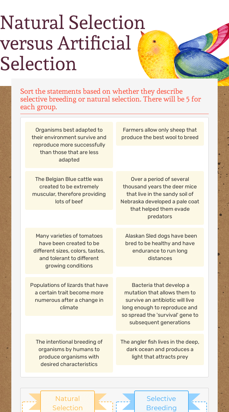 Natural Selection versus Artificial Selection Interactive Worksheet