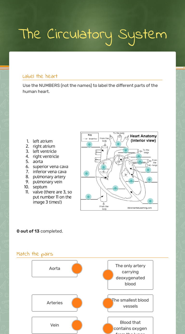 The Circulatory System | Interactive Worksheet by Kelly Hollis | Wizer.me