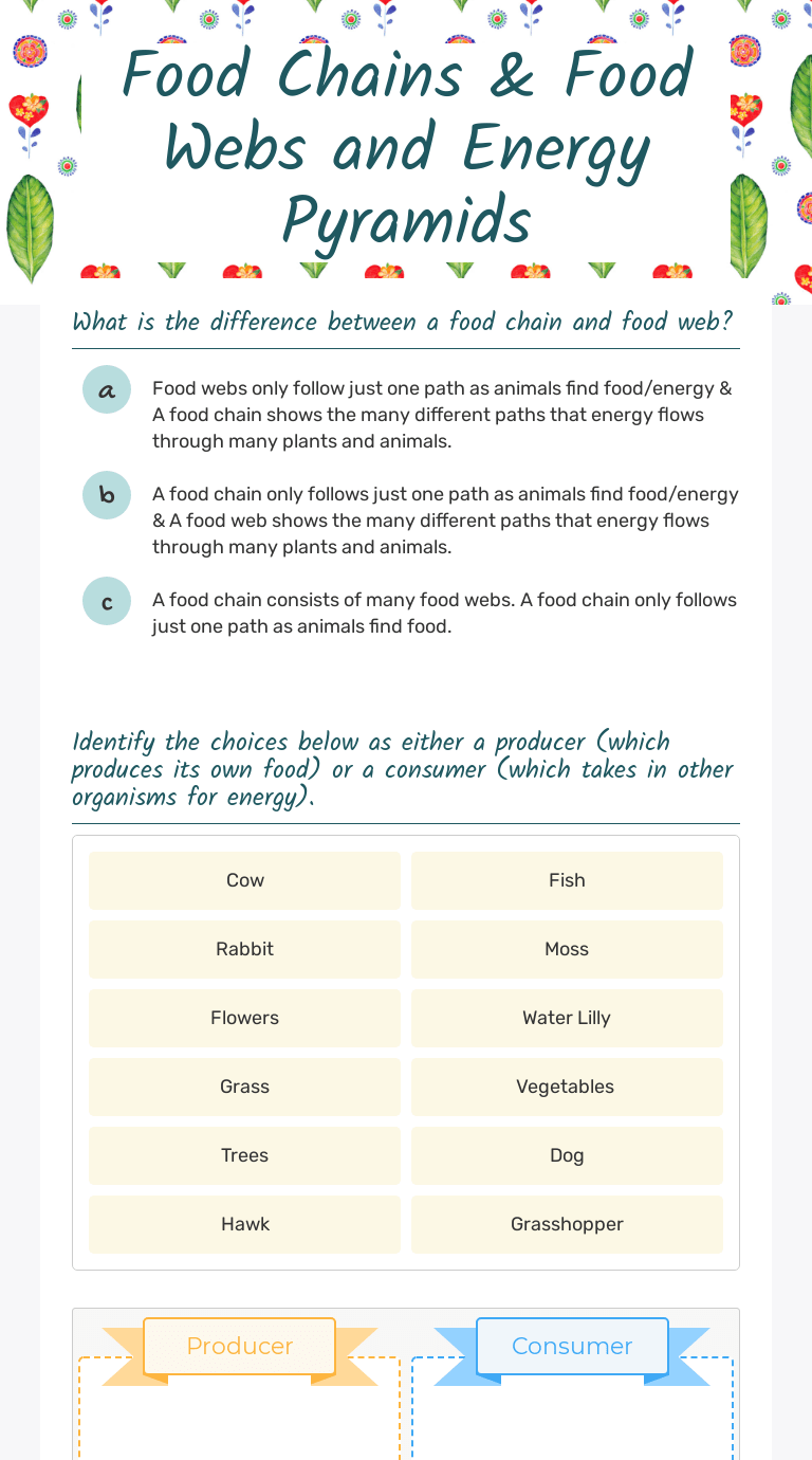 Food Chains & Food Webs and Energy Pyramids | Interactive Worksheet by