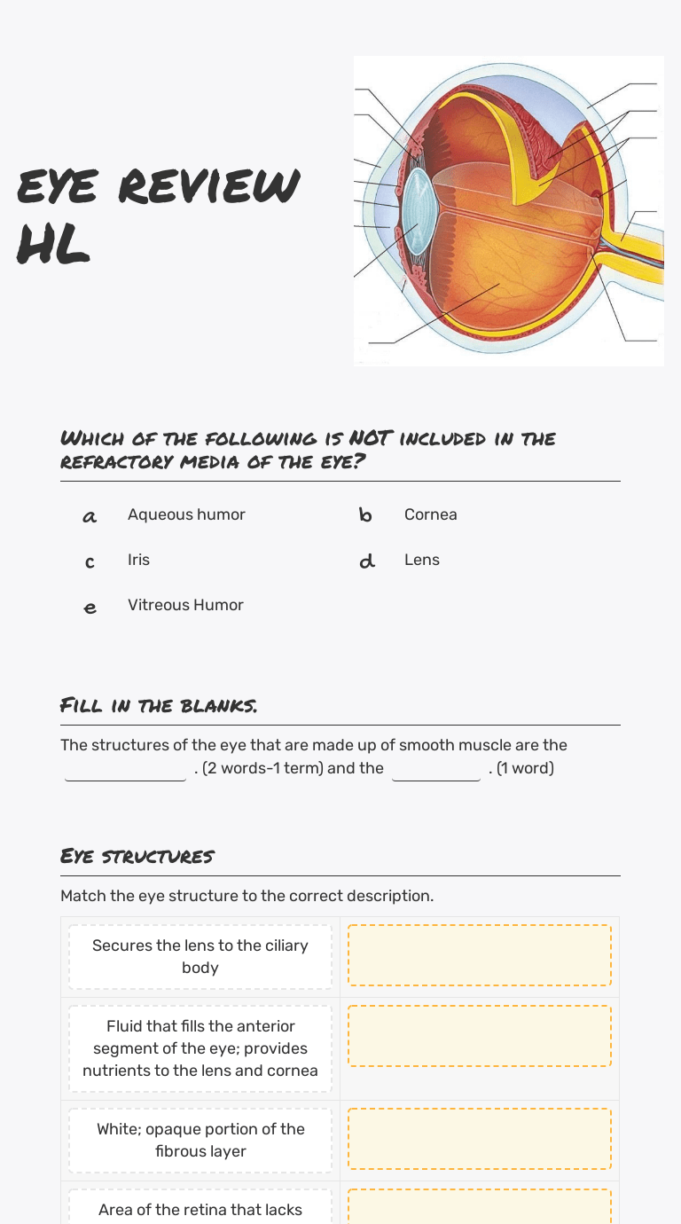 Eyes On The Prize Worksheet