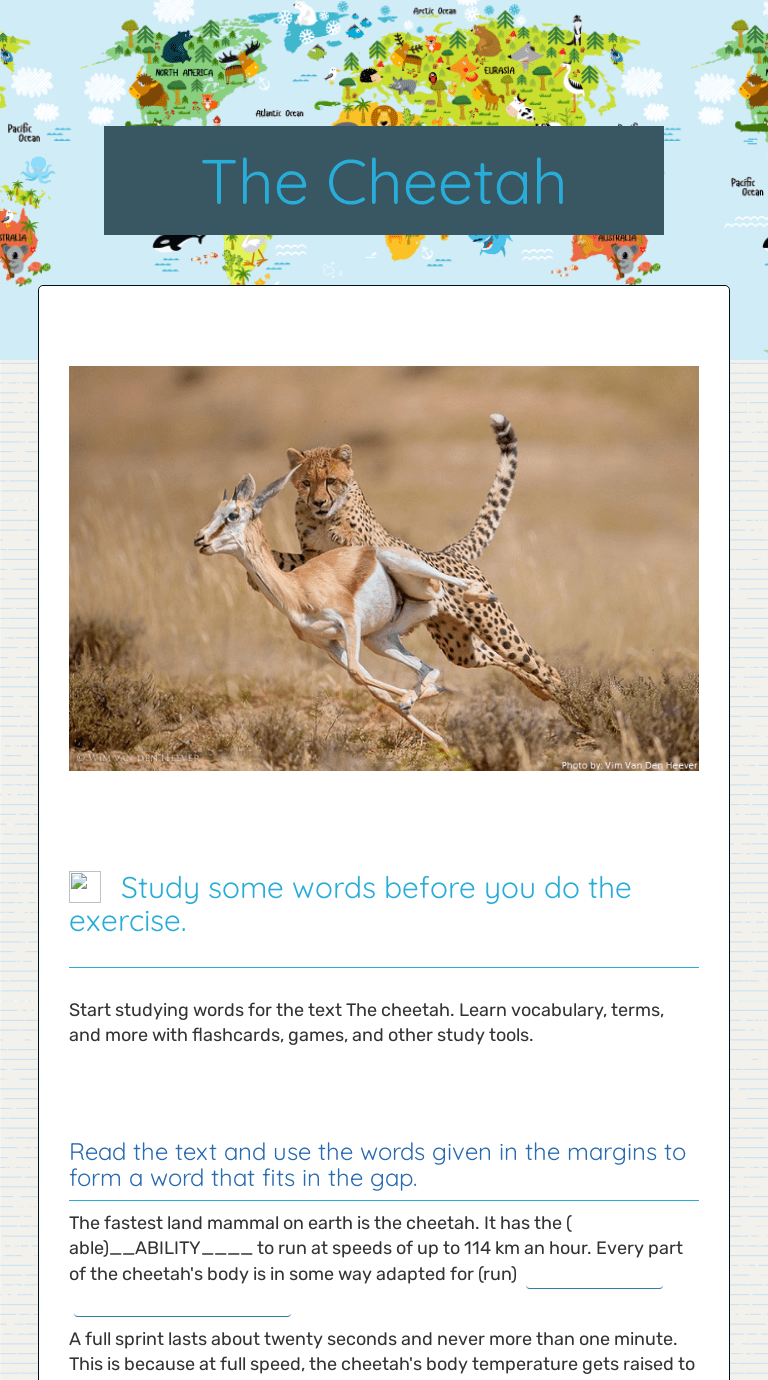 The Cheetah Interactive Worksheet by Irina Bezrodnykh Wizer.me