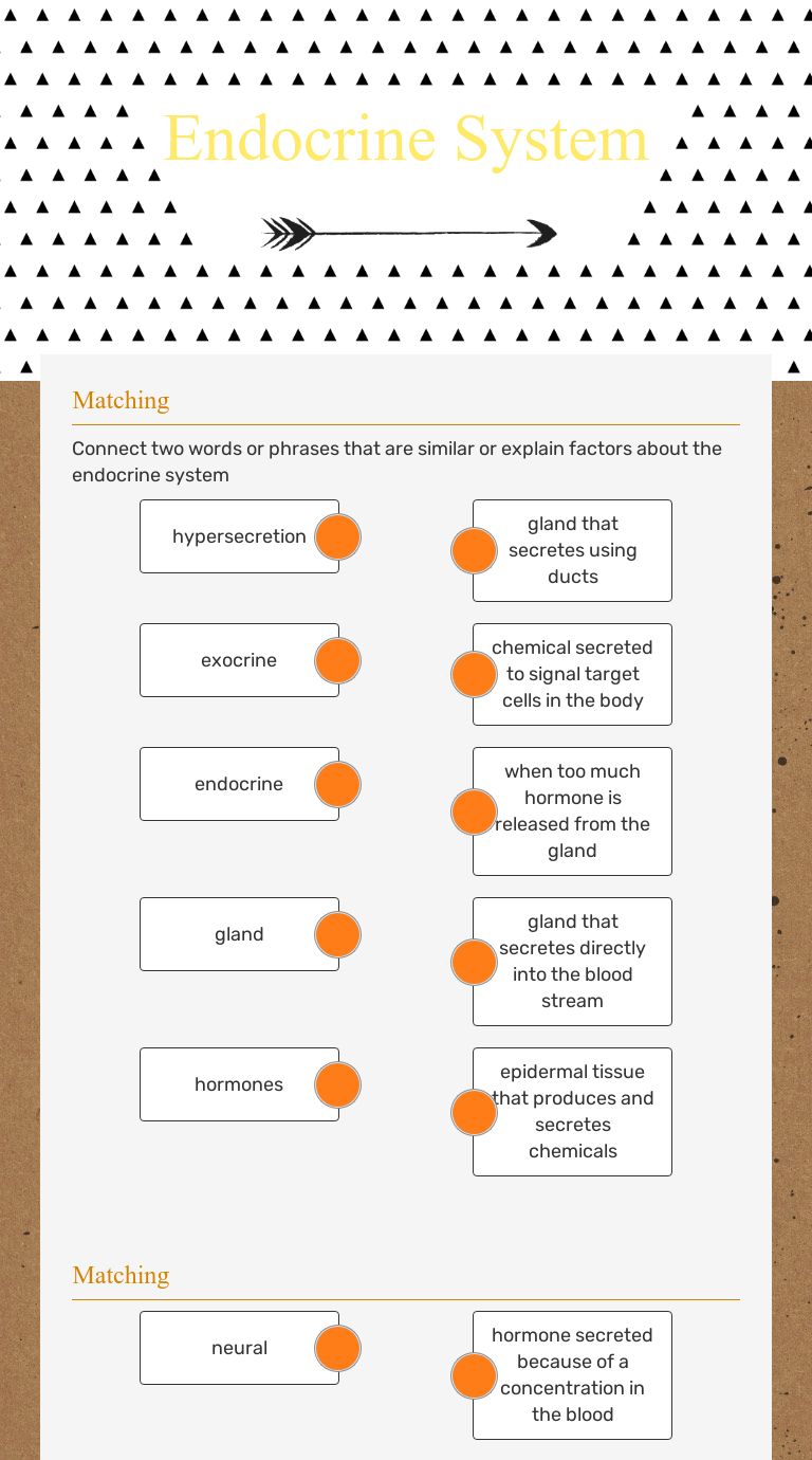 Endocrine System Interactive Worksheet by Jason Augustine Wizer.me