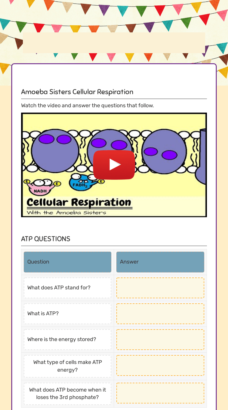 Amoeba Sisters Cell Respiration Interactive Worksheet by Sidney