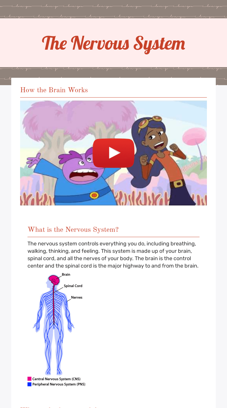 The Nervous System Interactive Worksheet by Hope Woodward Wizer.me