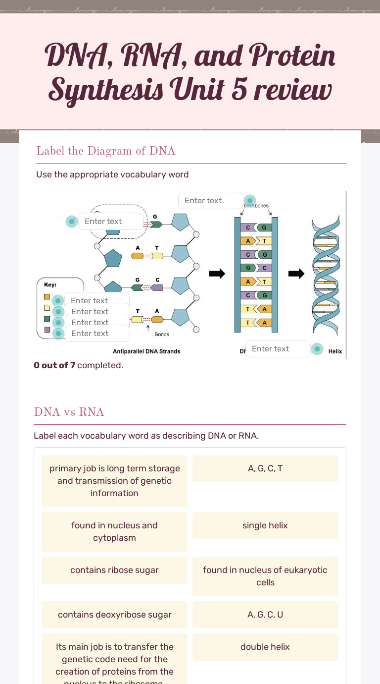 DNA, RNA, and Protein Synthesis Unit 5 review Interactive Worksheet