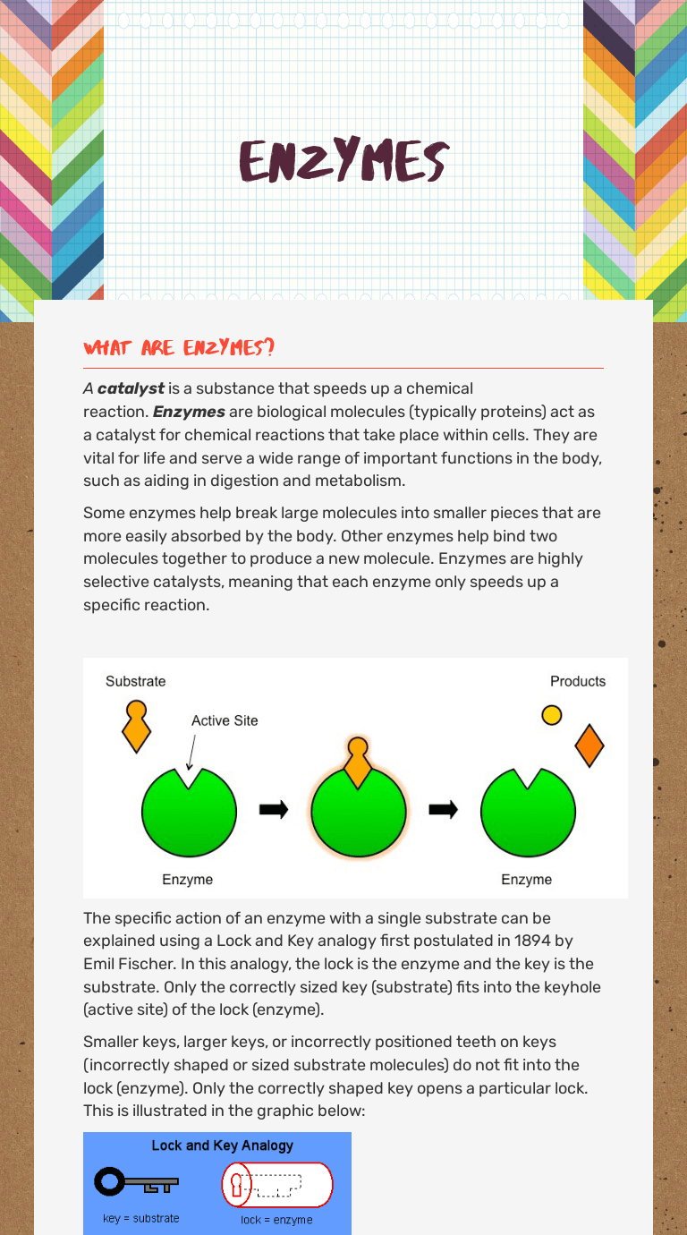 Enzymes | Interactive Worksheet by Patrick Jarman | Wizer.me