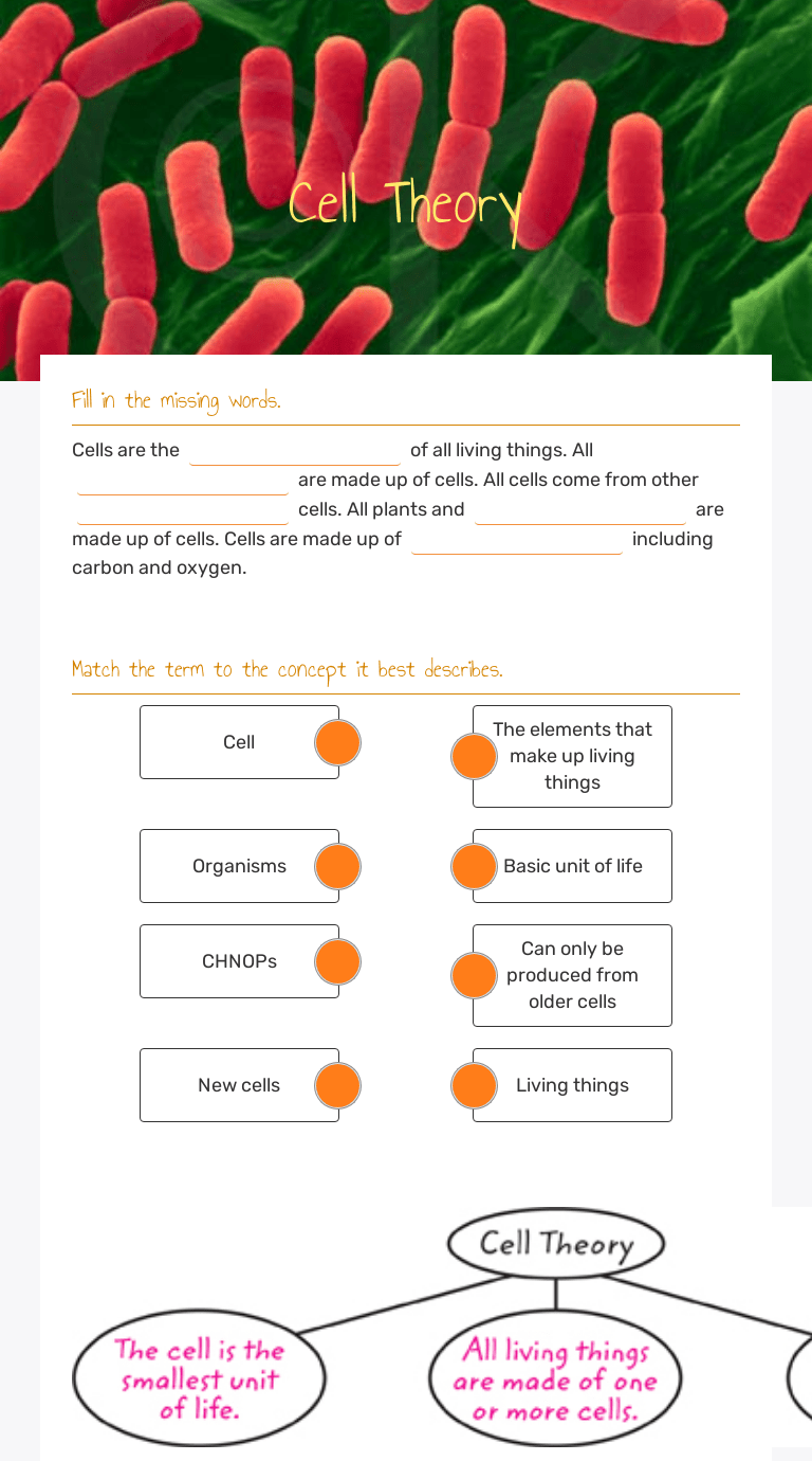 Cell Theory | Interactive Worksheet by Denise Ridgway | Wizer.me