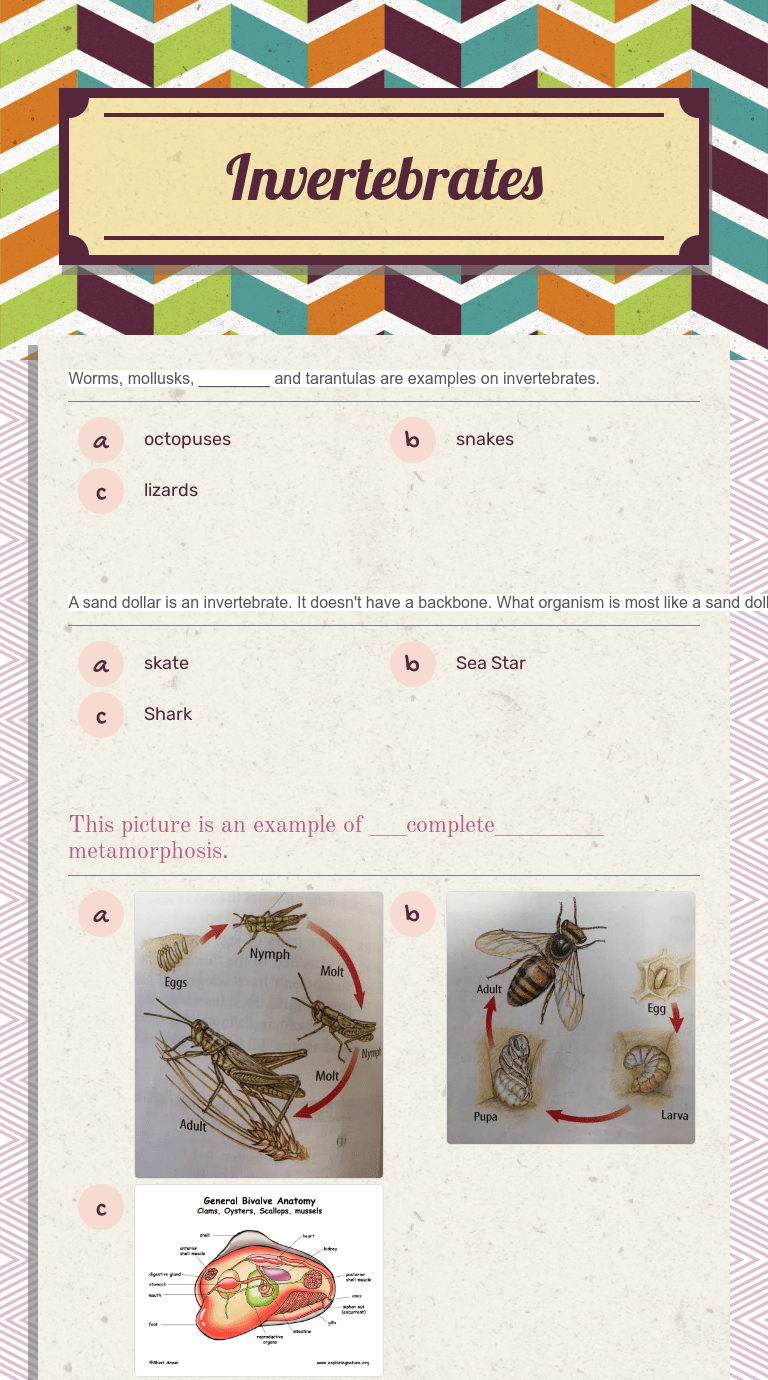 Invertebrates Interactive Worksheet Wizer.me