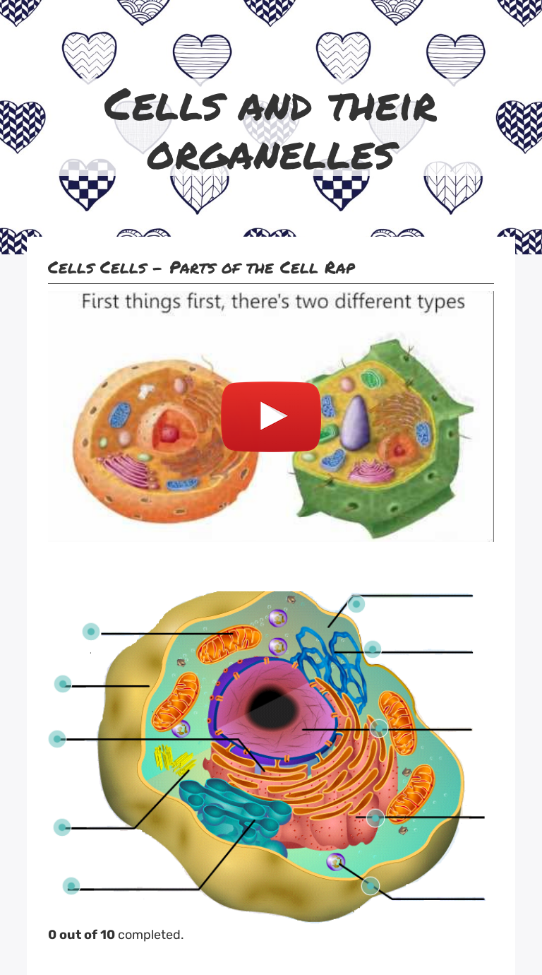 Cells And Their Organelles Worksheet