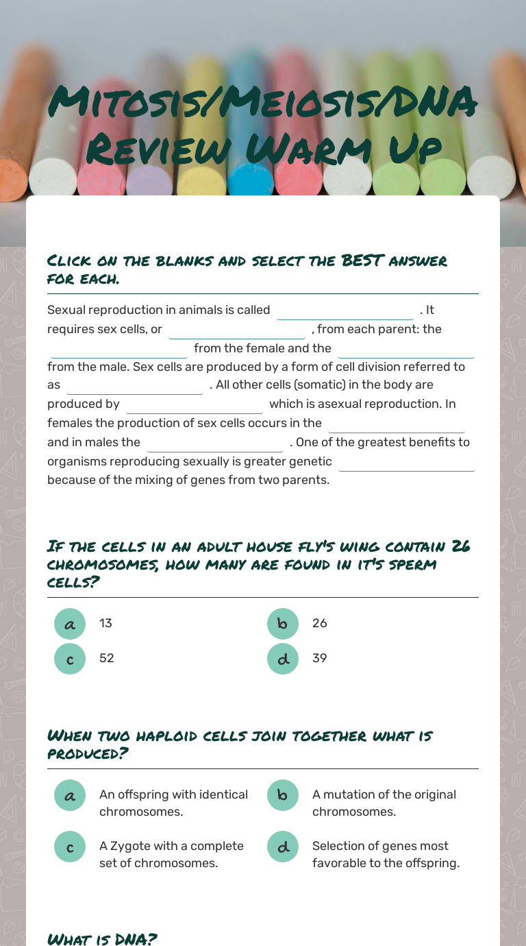 Phases Of Meiosis Worksheet Answers Gummy Worm Meiosi vrogue.co