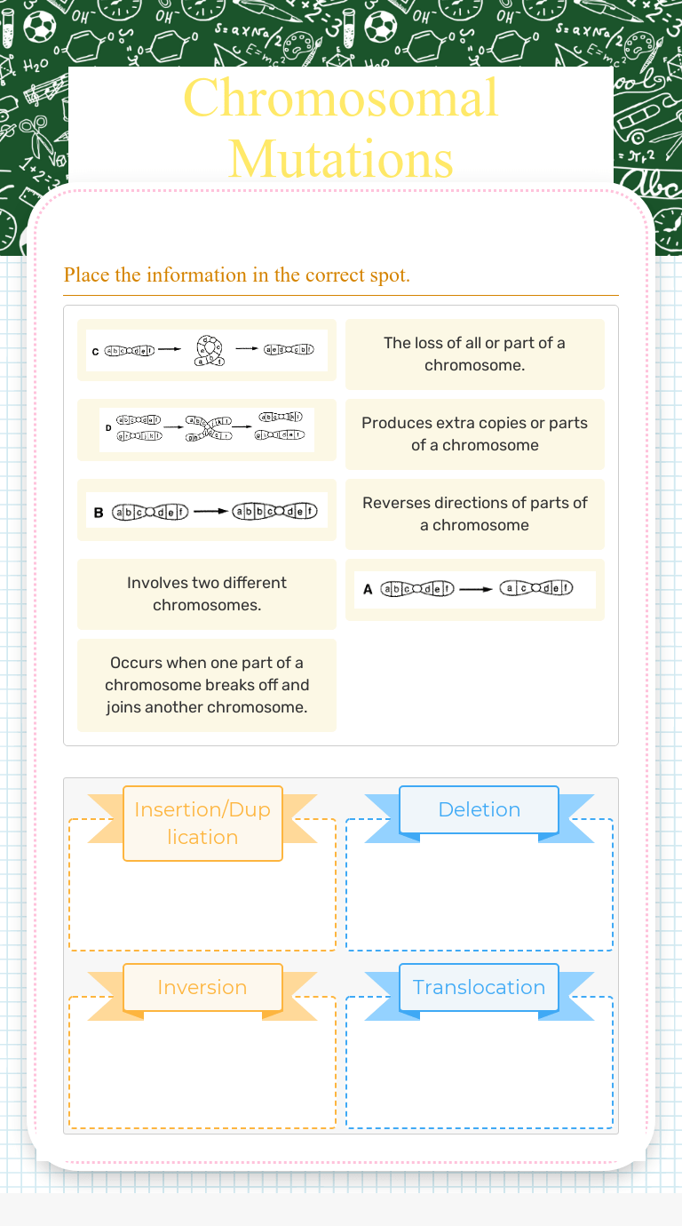 Chromosomal Mutations Interactive Worksheet by Patrick Eastlake Wizer.me