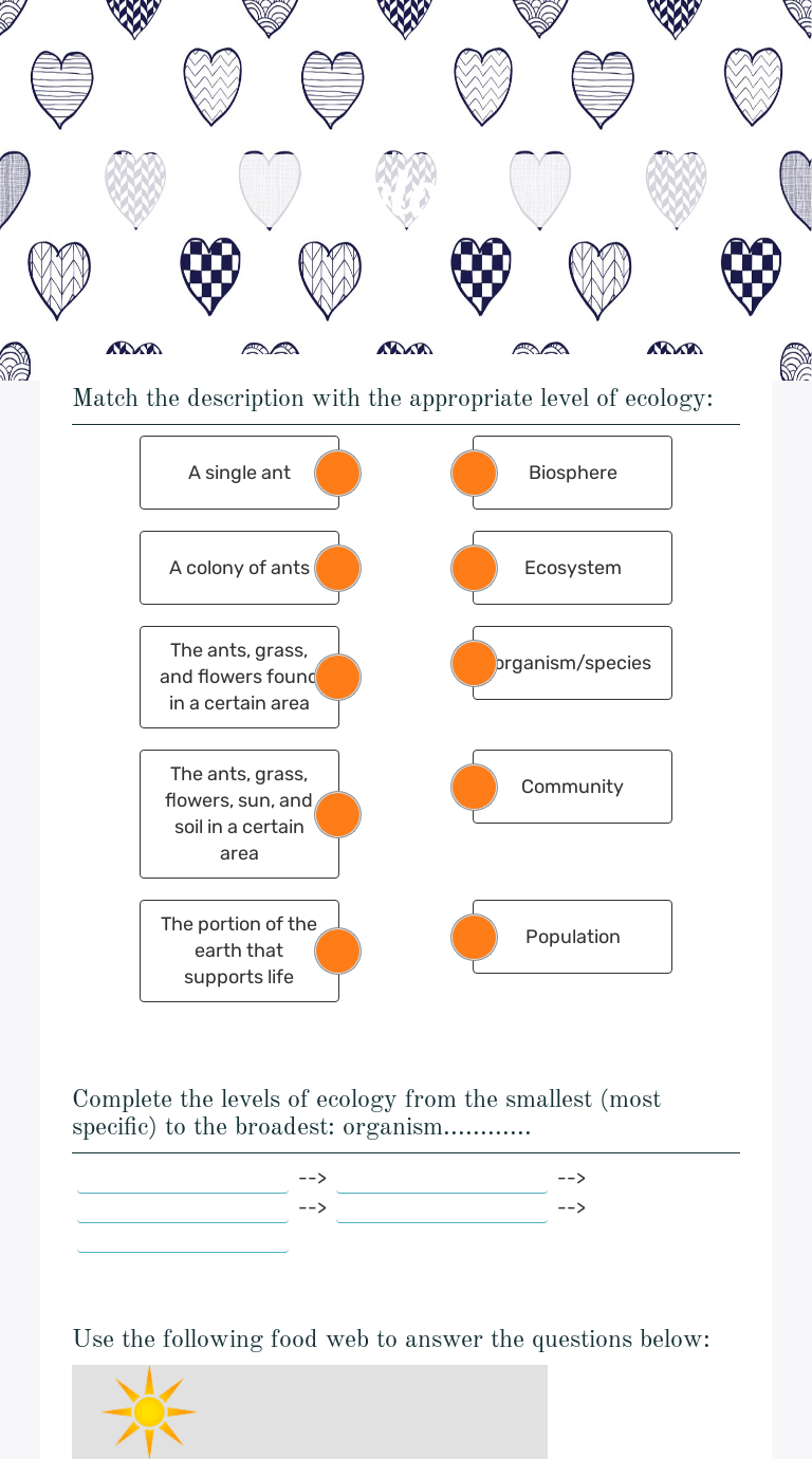Ecology | Interactive Worksheet by Jana Stroehl | Wizer.me
