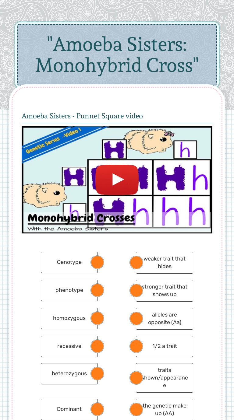 Enough questions to be used as a game, as a review, as a basic introduction quiz to alleles and genes, etc.i have added my famous observative questions along with some deductive and critical thinking questions.quality and quantity for a great price!!happy t Amoeba Sisters Monohybrid Cross Interactive Worksheet By Rebecca Giannetti Wizer Me