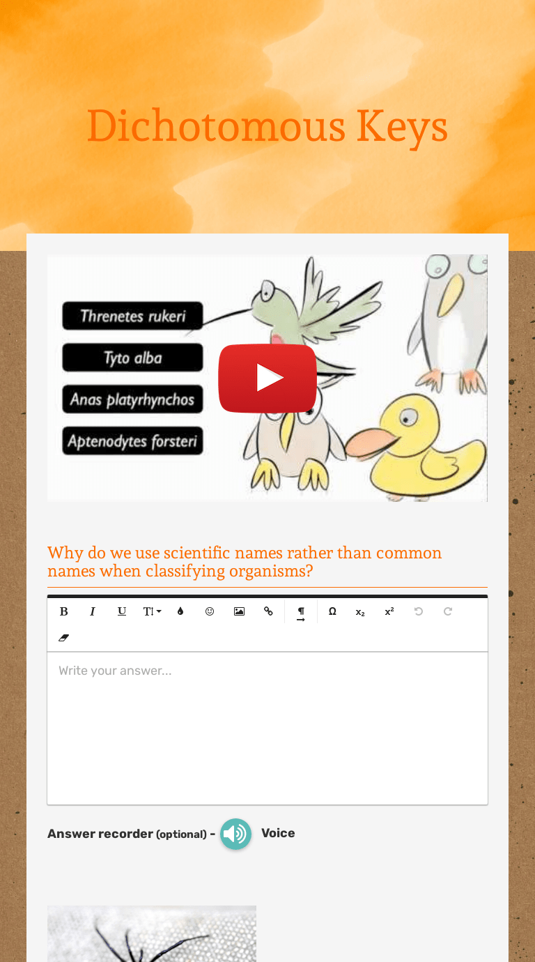 Dichotomous Keys Interactive Worksheet by Christina Dotson Wizer.me