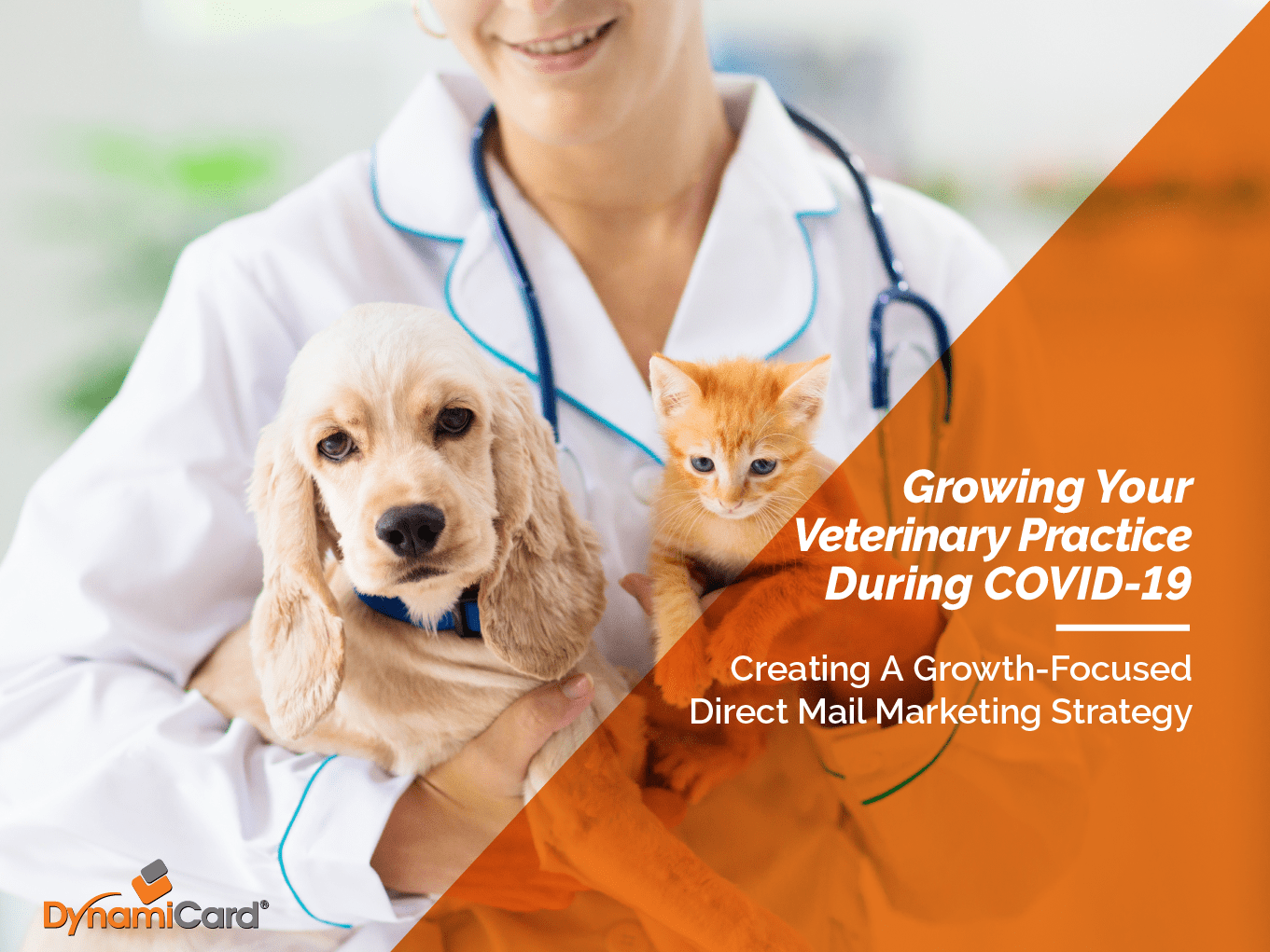 Growing Your Veterinary Practice or Pet Clinic During COVID19