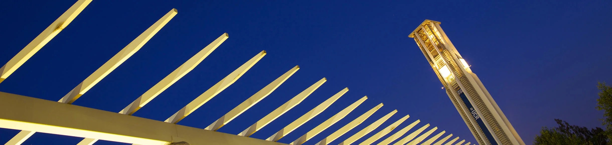 Instructors Dynamic Genome Program