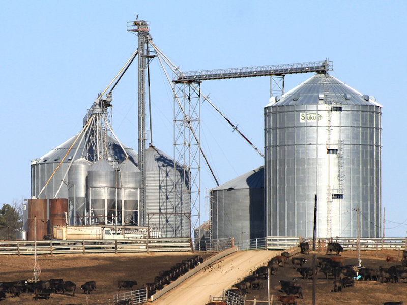 Dynamic Grain Systems Grain Handling Systems Lamour, North Dakota