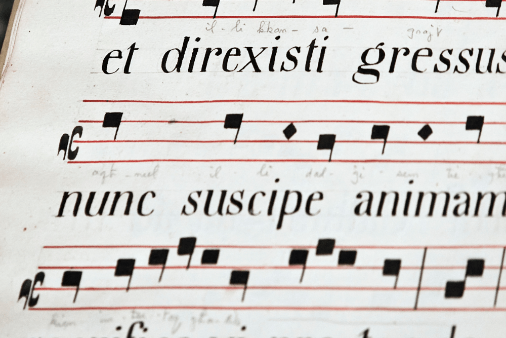 Solfege Syllables Throughout Time Dynamic Music Room