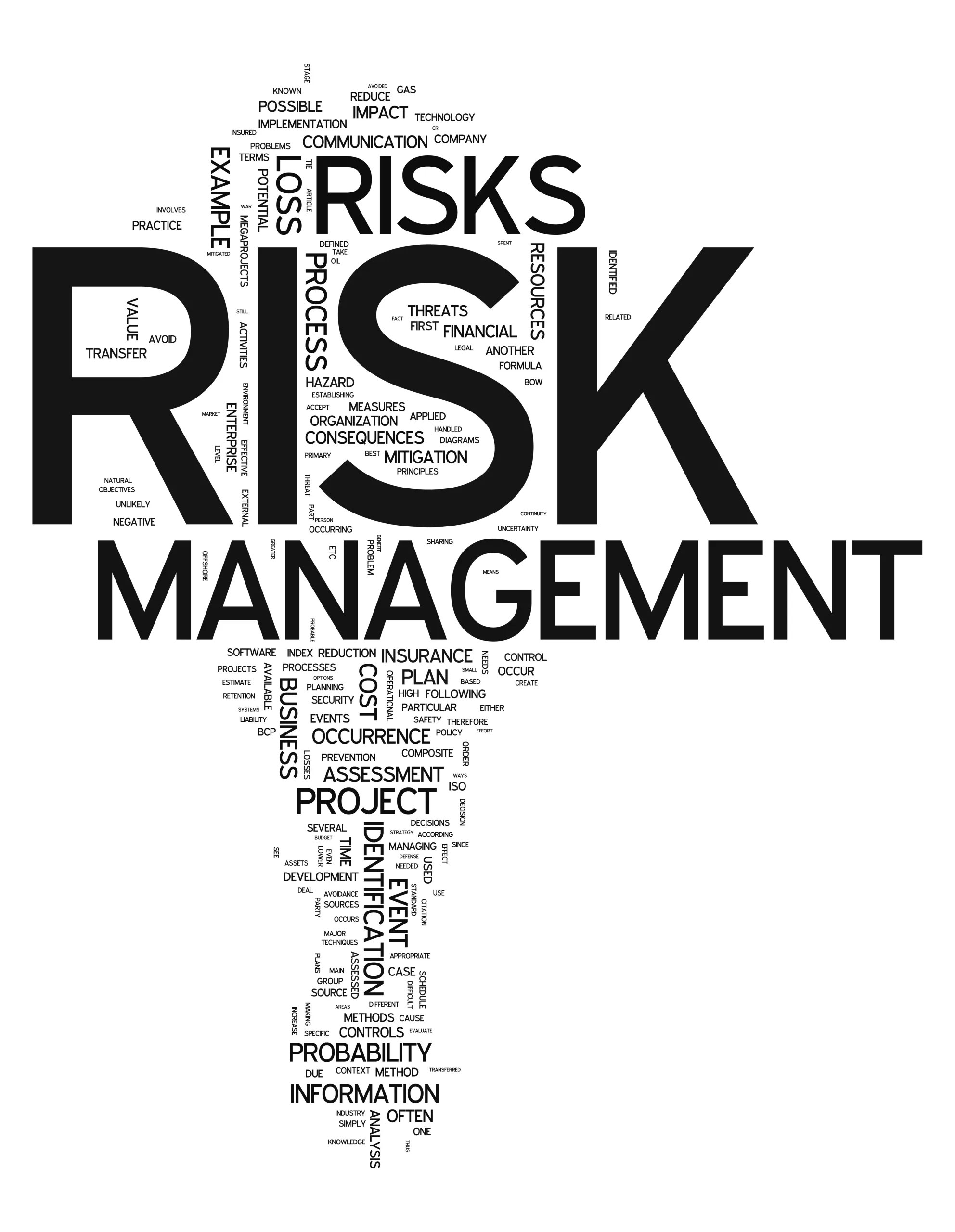 Safety and Risk Management Dynamic National