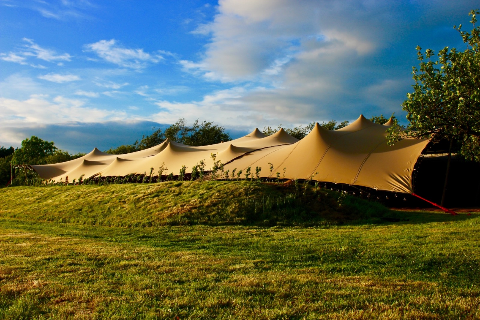 Dynamic Stretch Tents offer affordable solutions for outdoor enivronments