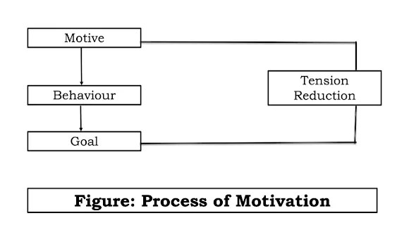 Process of Motivation in detail